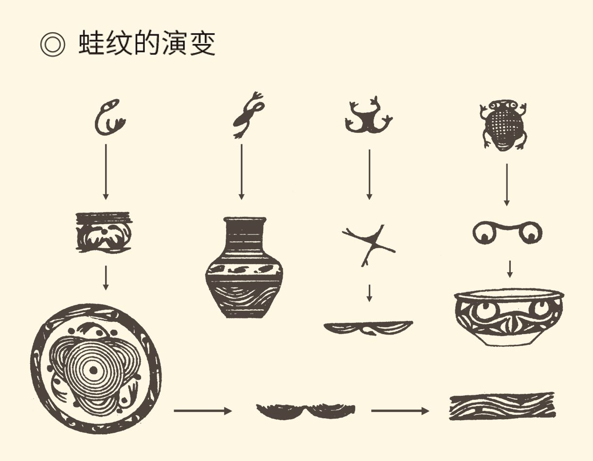从中不难看出蛙纹的全面性和丰富性,据郑为著《中国彩陶艺术》.