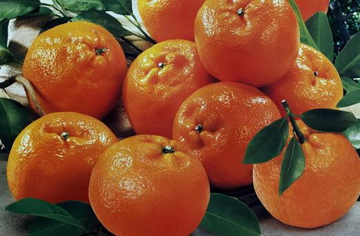 柑橘的營養價值有哪些？吃柑橘可預防中風