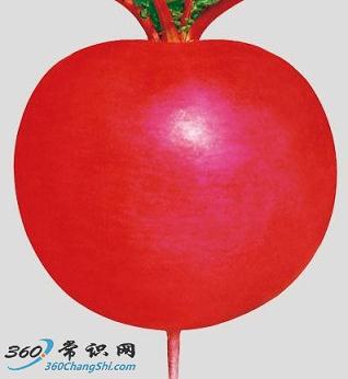 東北雌性紅蘿蔔