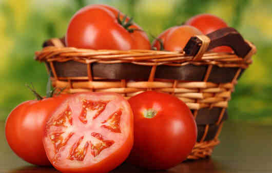 西紅柿與什麼相剋 12種剋星