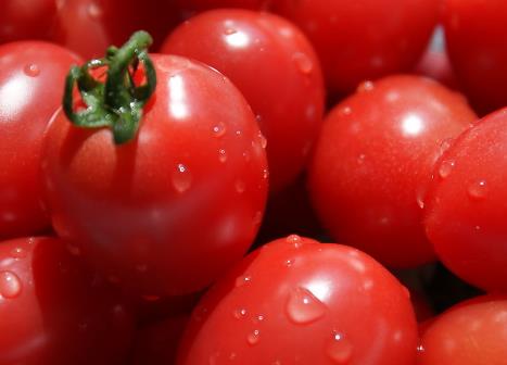 西紅柿怎麼做好吃？西紅柿的做法大全