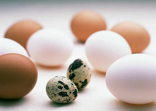 鵪鶉蛋的營養價值比雞蛋高嗎？鵪鶉蛋與雞蛋營養價值的比較