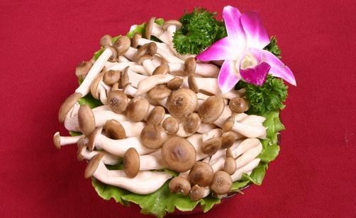 蟹味菇的營養價值 蟹味菇的做法大全
