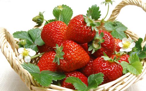 草莓治咳養生食療