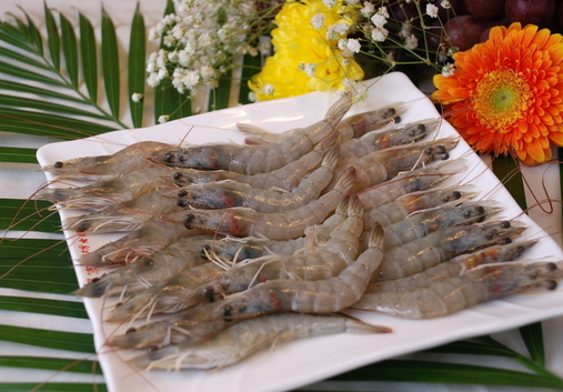 食用青蝦的注意事項-青蝦的營養價值