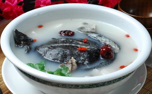 甲魚有助提高免疫力 推薦3種家常食譜