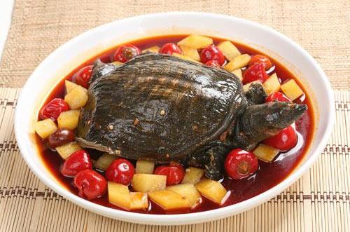 甲魚的營養價值 男人怎麼吃最有營養