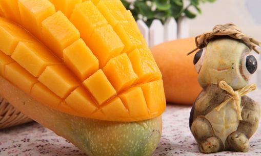 芒果的營養作用 孩子在冬天吃芒果好不好