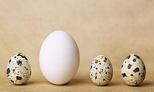鵪鶉蛋和雞蛋有什麼區別？哪個營養價值更高？