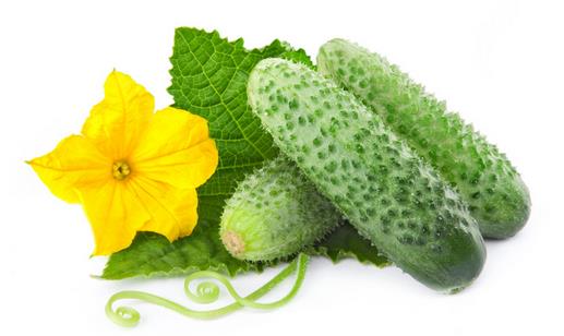 春季吃黃瓜營養又健康