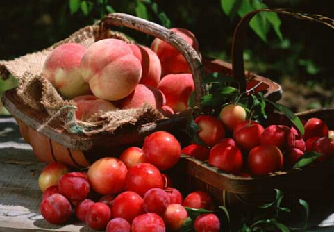 亞洲人紅色蔬果攝入少應多吃漿果堅果