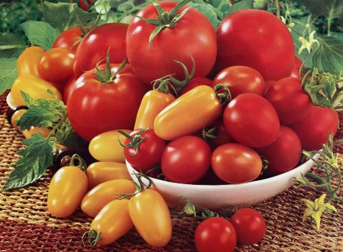 什麼時候吃番茄減肥最好？吃番茄的注意事項