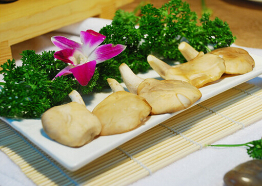 鮑魚菇的做法-鮑魚菇的營養價值