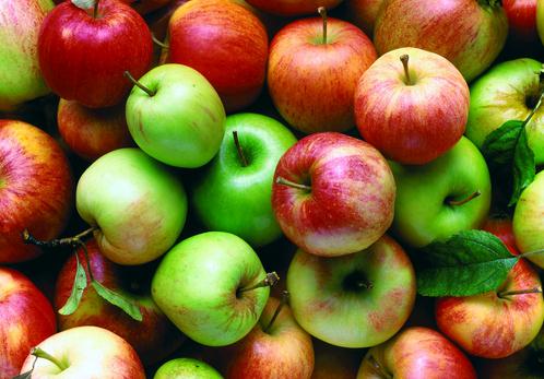 蘋果減肥法讓你快速瘦身