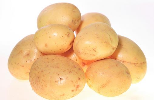 土豆能調整虛弱的體質 能蒸著吃最理想
