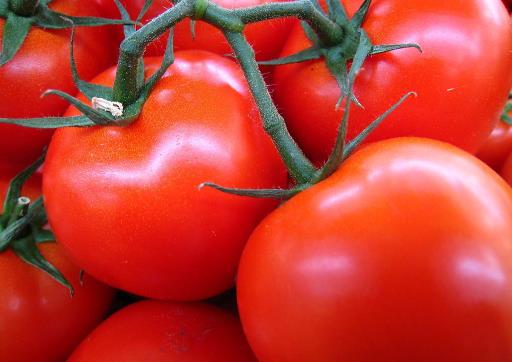 如何選購西紅柿？什麼顏色的番茄最好