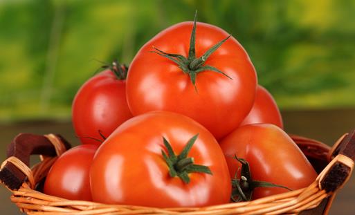 分辨催熟西紅柿的6個小技巧