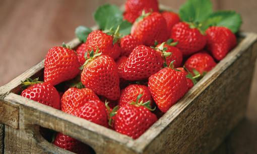 挑選草莓的方法 如何選購草莓？