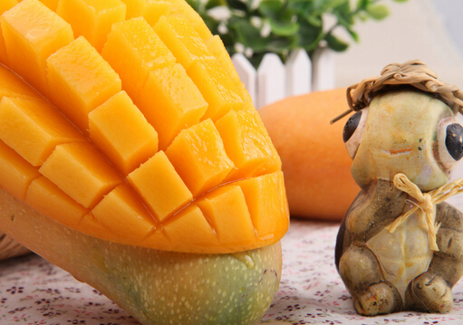 孕婦能吃芒果嗎？如何正確吃芒果？