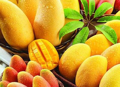芒果不能和什麼食物一起吃？吃芒果有什麼禁忌