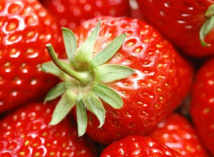 孕婦能不能吃草莓？懷孕期間可以吃草莓嗎