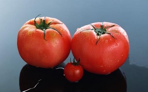大小番茄有什麼區別？怎麼吃西紅柿更營養？