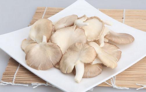 吃鳳尾菇好嗎？鳳尾菇怎麼做好吃？