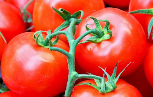 如何挑選新鮮西紅柿？怎樣識別催熟的西紅柿
