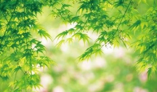 中國空氣淨化器行業的特徵
