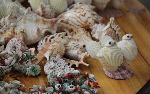 貝殼工藝品的製作方法和文化價值