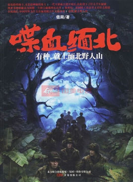喋血緬北線上閱讀
