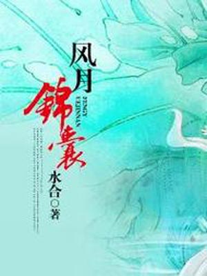 風月錦囊線上閱讀