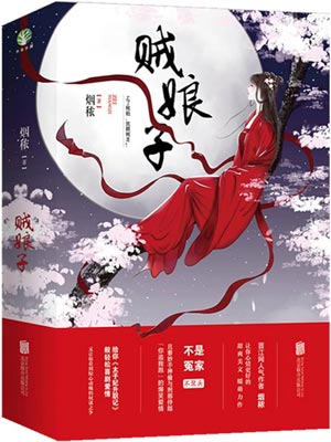 賊娘子（柳葉摘星辰）